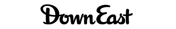 de-logo-100h.jpg